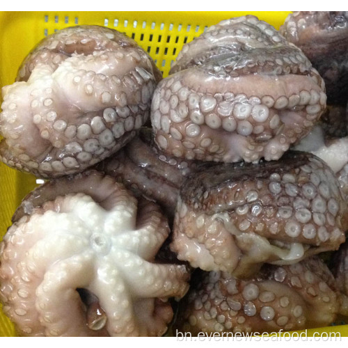 হিমায়িত তাজা অক্টোপাস মূল্য